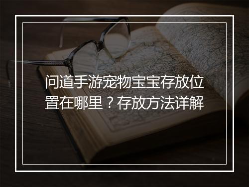 问道手游宠物宝宝存放位置在哪里?存放方法详解