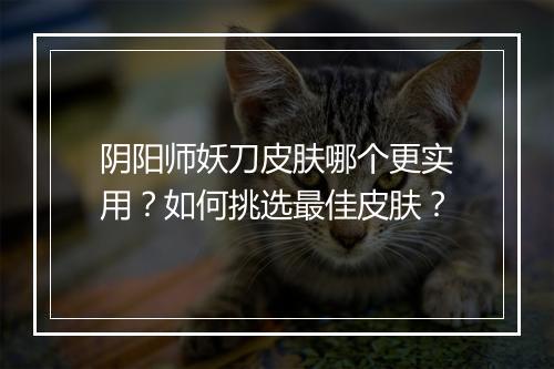 阴阳师妖刀皮肤哪个更实用?如何挑选最佳皮肤?