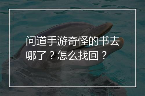 问道手游奇怪的书去哪了？怎么找回？
