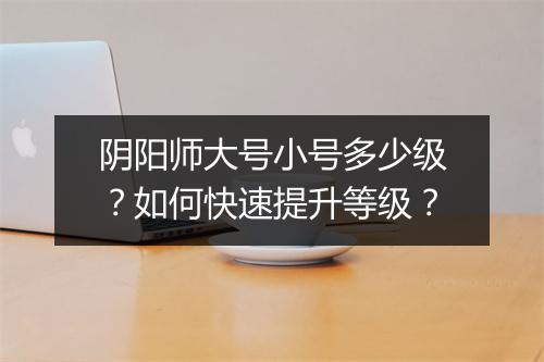 阴阳师大号小号多少级？如何快速提升等级？