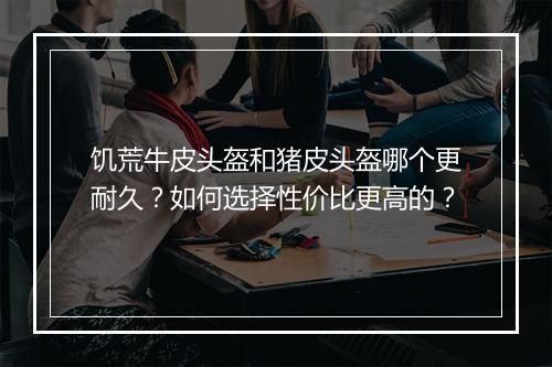 饥荒牛皮头盔和猪皮头盔哪个更耐久？如何选择性价比更高的？