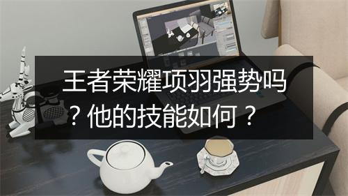 王者荣耀项羽强势吗?他的技能如何?