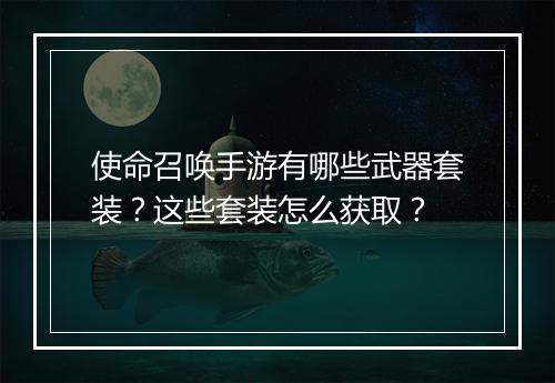 使命召唤手游有哪些武器套装？这些套装怎么获取？