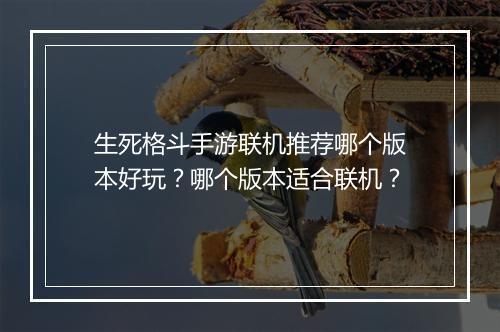 生死格斗手游联机推荐哪个版本好玩？哪个版本适合联机？