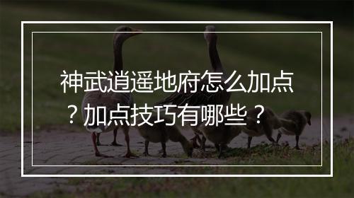 神武逍遥地府怎么加点？加点技巧有哪些？