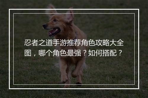 忍者之道手游推荐角色攻略大全图，哪个角色最强？如何搭配？