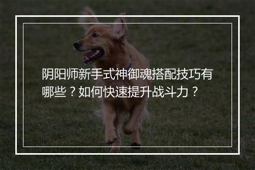 阴阳师新手式神御魂搭配技巧有哪些？如何快速提升战斗力？