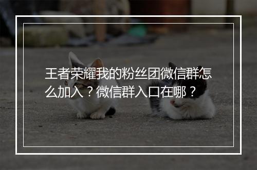 王者荣耀我的粉丝团微信群怎么加入？微信群入口在哪？