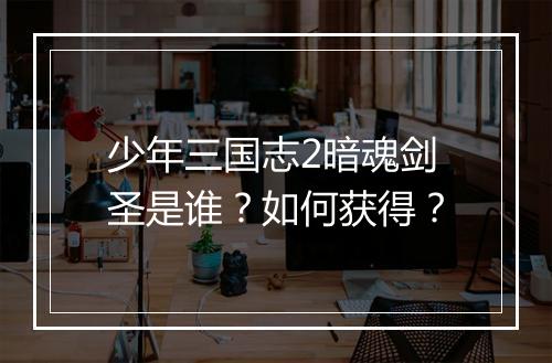 少年三国志2暗魂剑圣是谁？如何获得？