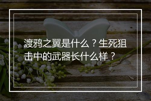 渡鸦之翼是什么?生死狙击中的武器长什么样?