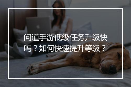问道手游低级任务升级快吗？如何快速提升等级？