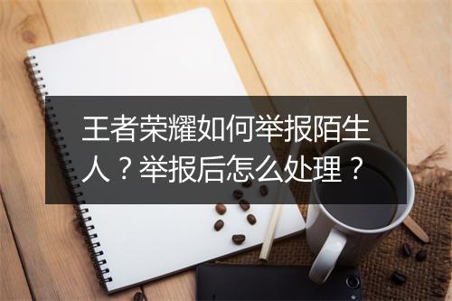 王者荣耀如何举报陌生人?举报后怎么处理?