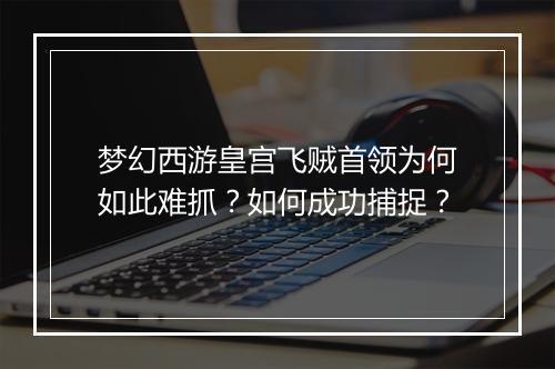 梦幻西游皇宫飞贼首领为何如此难抓?如何成功捕捉?